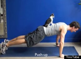 WATCH: Exercising With Cats