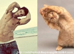 Des hommes et des chatons, le Tumblr qui va mettre les filles d'accord (PHOTOS)