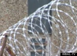 Prison Gang Leader Accused Of Impregnating 4 Female Guards