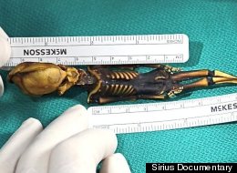 Sirius UFO Documentary To Confirm Origin Of Six-Inch 'Space Alien' Atacama Humanoid (PICTURES)