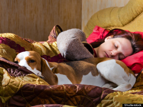12 Sleep Myths, BUSTED  