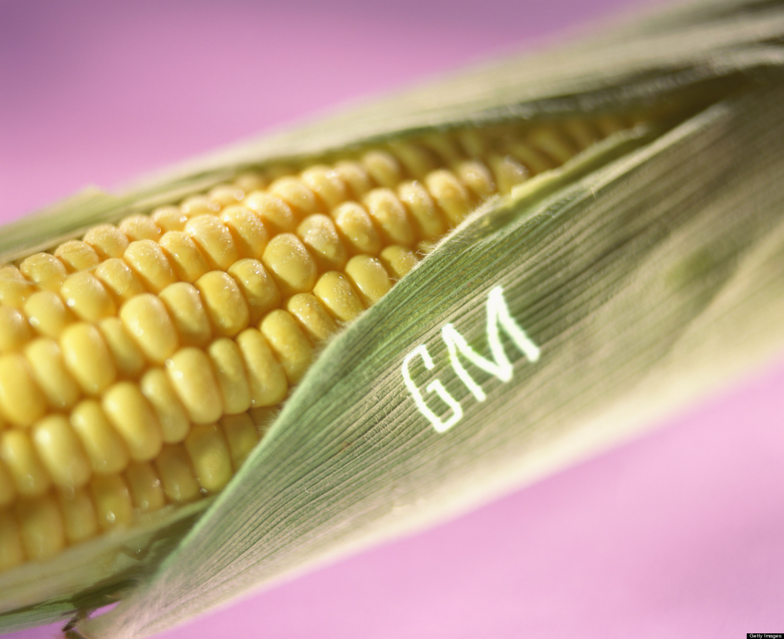 genetically-engineered-food-labeling-taken-on-by-congress-in-right-to