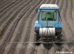 Les 10 fruits et légumes les plus contaminés par des pesticides