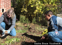 Providing a Better Future for Homeless Youth