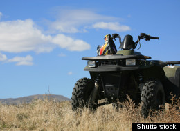 ATV Crash Kills Pregnant Woman