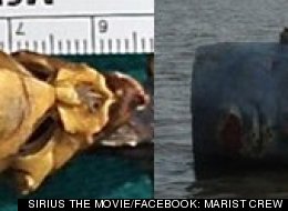 VOTE: 6-Inch Alien Vs. Giant Floating Head: The Weird News Top 10