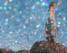 Zackary Drucker: Zackary Drucker on the ImageBlog