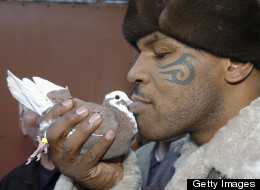 Would You Dare Eat One Of Mike Tyson's Pigeons? His Girlfriend Did. Then They Broke Up