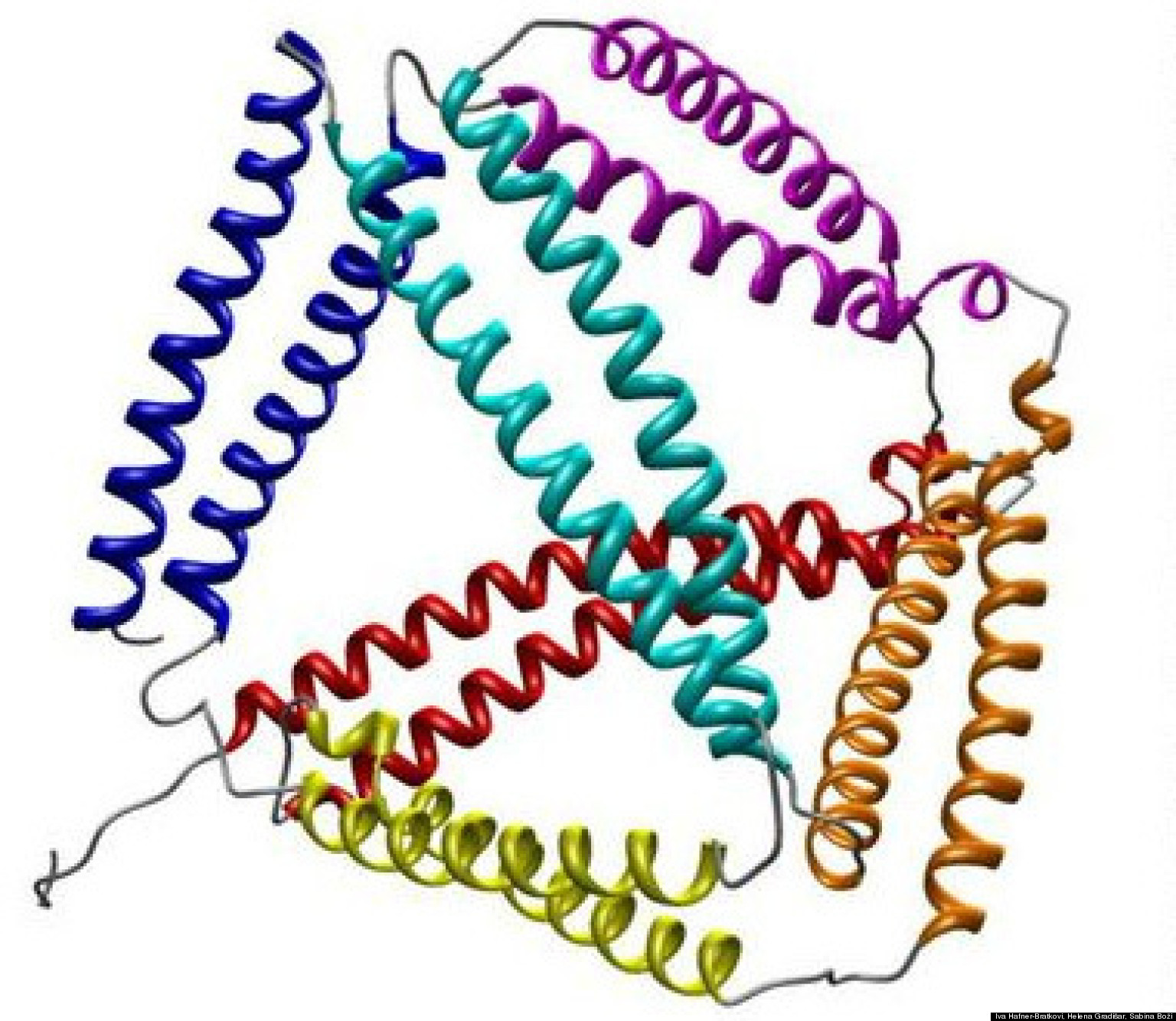 'Protein Origami' Bioengineering Technique Allows Molecular Building