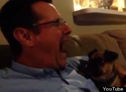 WARNING: Yawning Puppy Ahead