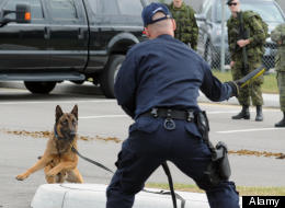 Canine Bite Gets Police Watchdog's Attention