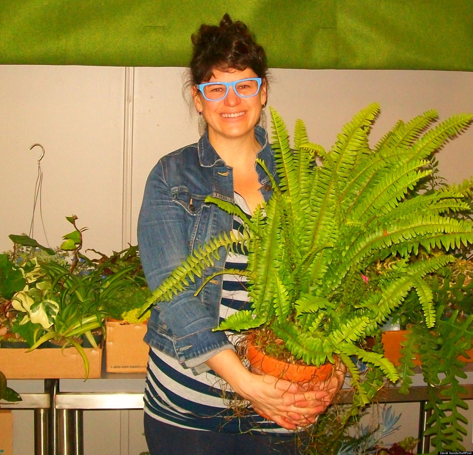 Pot & Box, Detroit PopUp, Will Set Stage For DHive 'Pilot' StartUp