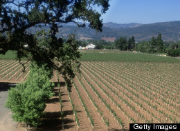 Hollywood And Vine: California's Wine County And The Celebrity Connections