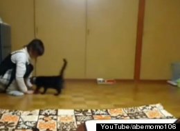 WATCH: This Cat Is Having The Time Of Its Life