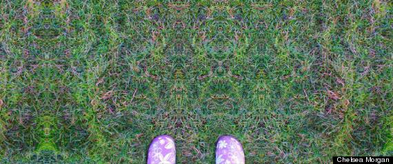 Lsd Photos