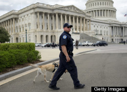Dogs and Drones, Cameras and Phones