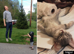 An Exhausted Kitten, Baby Owl Chick And A Mother's Emotional Letter (PICTURES)