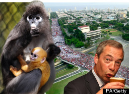 Pictures Of The Day: 2nd May 2013