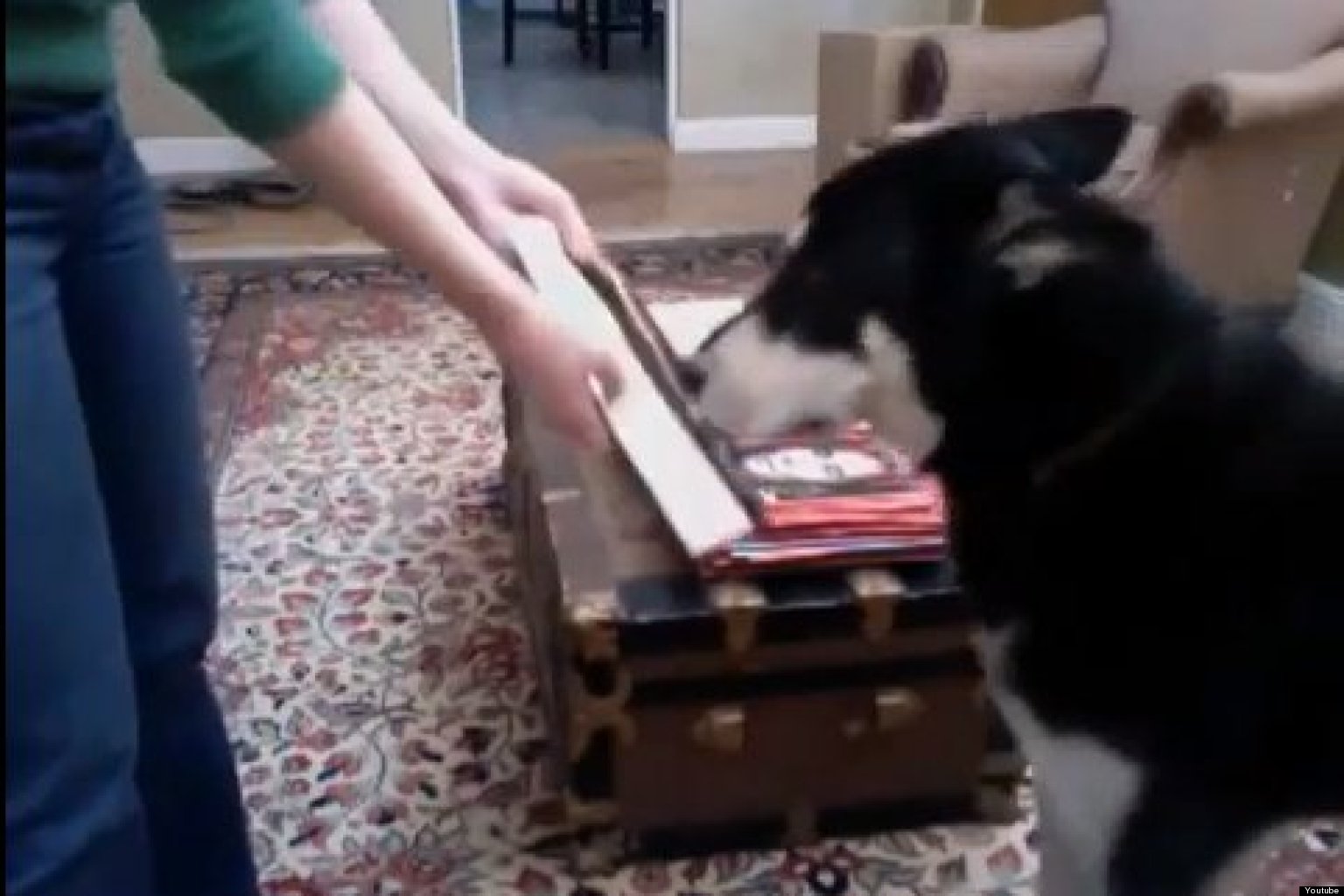 Dog Can't Get Enough Of Dior Perfume Sample (VIDEO) HuffPost