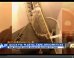 LOOK: Nuclear Plant's Leaky Pipe Apparently 'Fixed' With Tape, Plastic Bags
