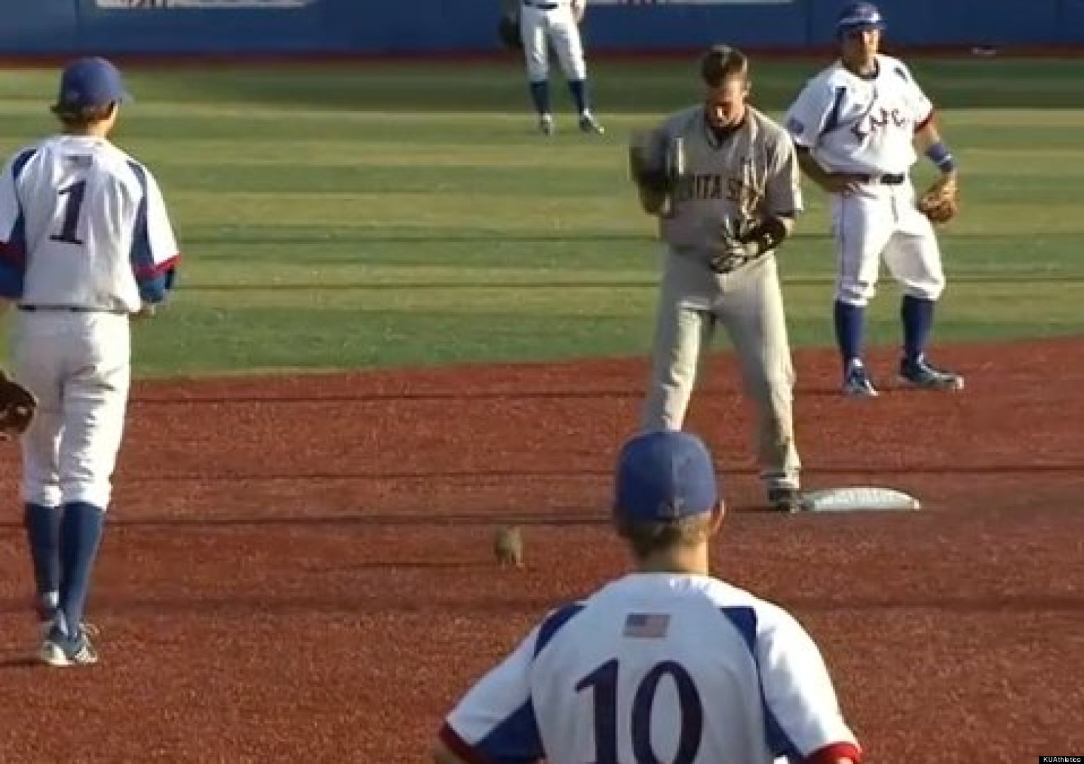 Squirrel Interrupts KansasWichita State Baseball Game (VIDEO) HuffPost