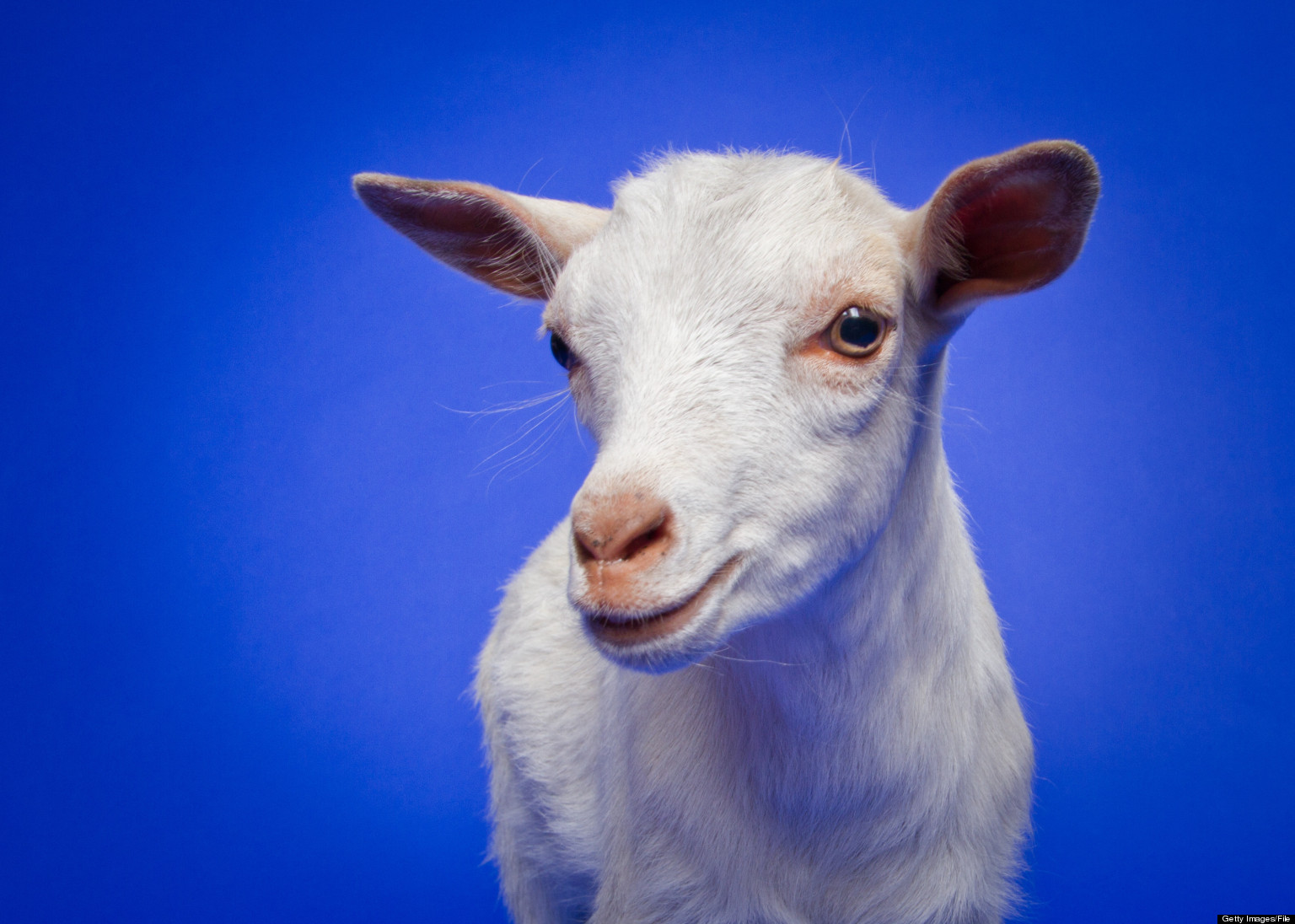 13 Spanish Curse Words That Make No Sense In English SLIDESHOW HuffPost