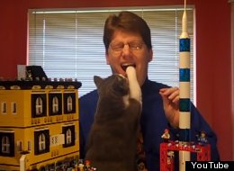 WATCH: Cat Interrupts Lego Video