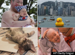 The Week In Photos - Vote On Your Favourite Pictures