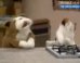 Watch Will Smith Beatbox As A Dog & Cat