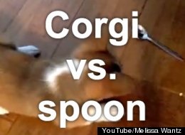 EPIC BATTLE