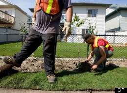 The Ugly, Shady Side Of Foreign Workers Program In Alberta