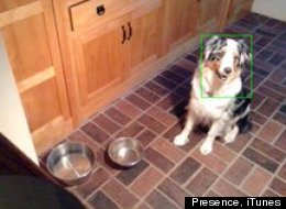 The Easiest Way To Keep An Eye On Your Home