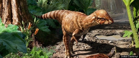 dinosaur with a bald head