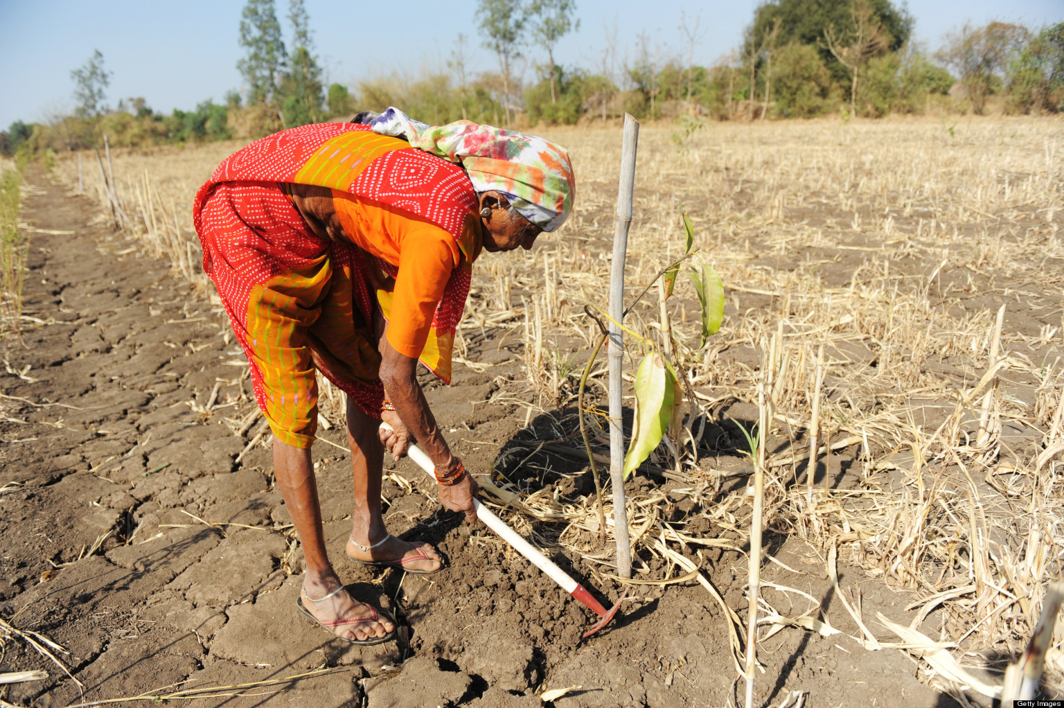 Urban Agriculture in Delhi: Thousands of Invisible Farmers ...