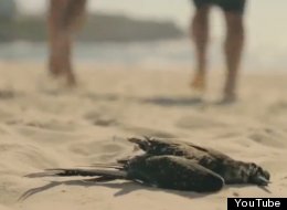 http://i.huffpost.com/gen/1127801/thumbs/s-GREENPEACE-COKE-AD-large.jpg?6