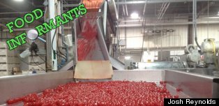 A Week In The Life Of The 'Cherry Man'