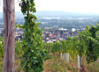 A Comprehensive Guide to Getting Saucy in Germany's Wine Regions