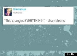 The Funniest Tweets From Women This Week