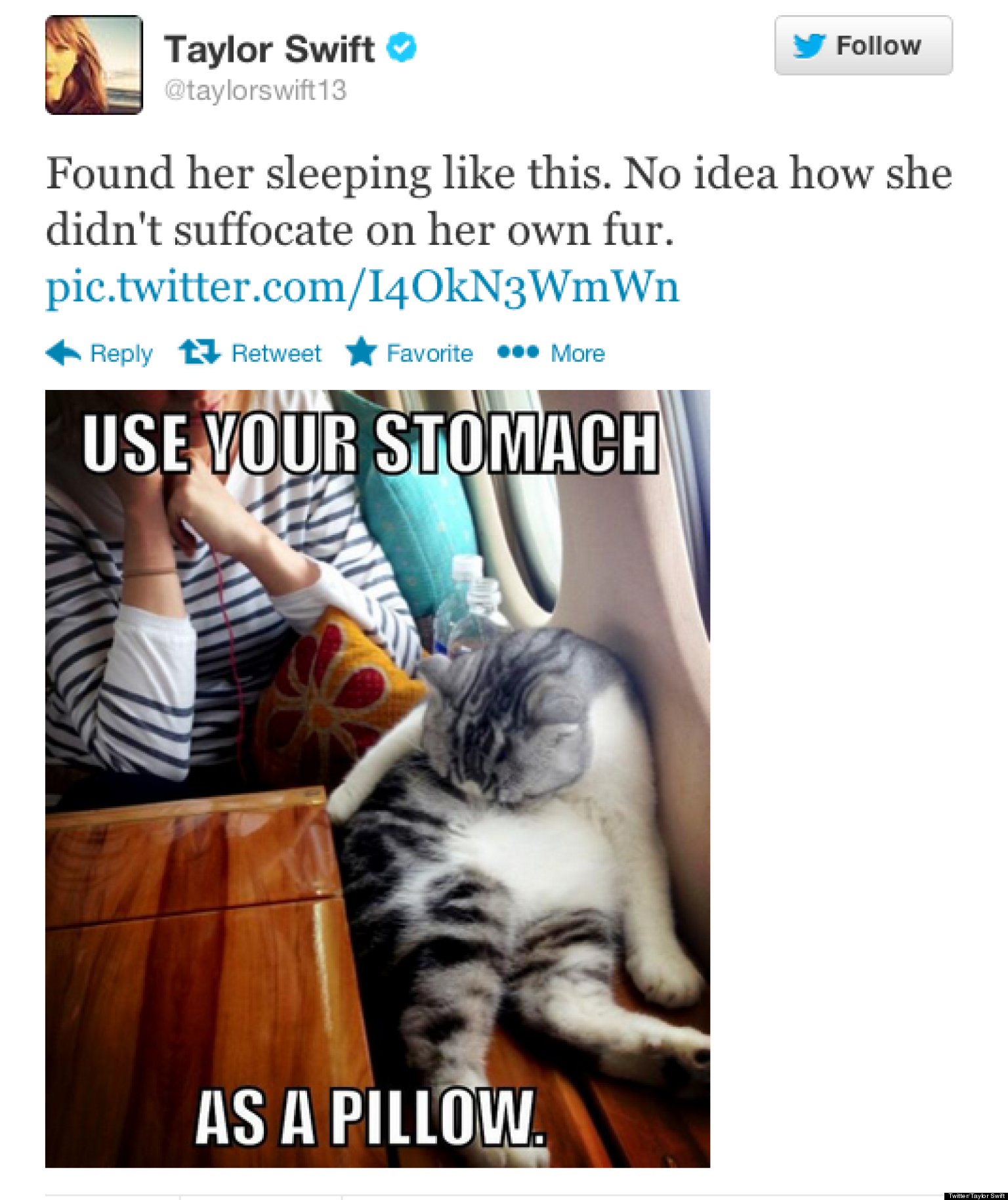 Taylor Swift Tweets Hilarious Meme Of Her Cat Meredith