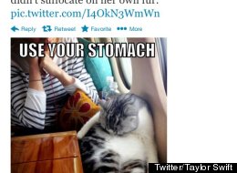 T-Swift Memes Her Cat!
