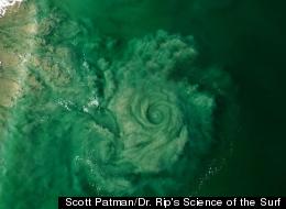 Whirlpool Vortex: Paraglider Captures Huge Rip Current Off Australian Coast (PICTURE)
