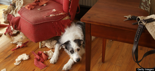 4 Things You Should Stop Feeling Guilty About