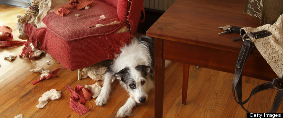 Stop Feeling Guilty: 4 Things You Shouldn't Worry About...