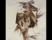 Bruce Helander: Bruce Helander on the ImageBlog