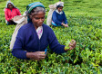 Celebrating Three Mothers in the Developing World