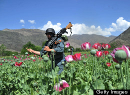 MI6 'Ghost Money' Helping Afghan Drug Trade?