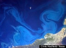 Space Oddities: Astronaut Chris Hadfield's Amazing Tweets From The ISS (PICTURES)