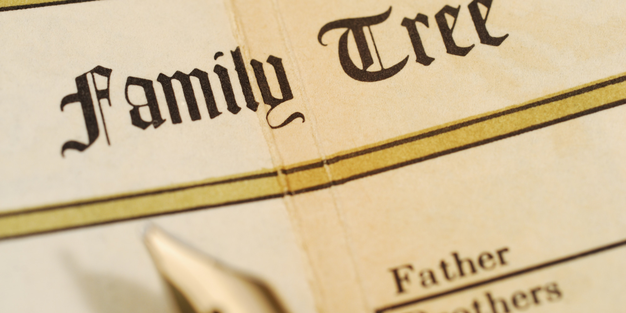 It is a graphic of Candid Genealogy Tree Images This is an image of Candid Genealogy Tree Images
