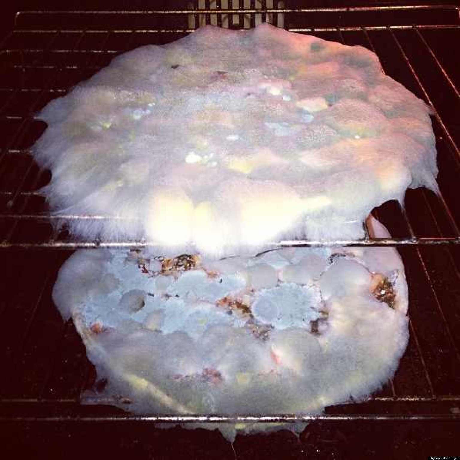 Forgotten Pizza Looks Like It's Grown Its Own Civilization (PHOTO