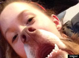 LOOK: Amazing Dog Photobomb